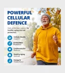 CanPrev Resvera-Pro Health Benefits - One Stop Supplements